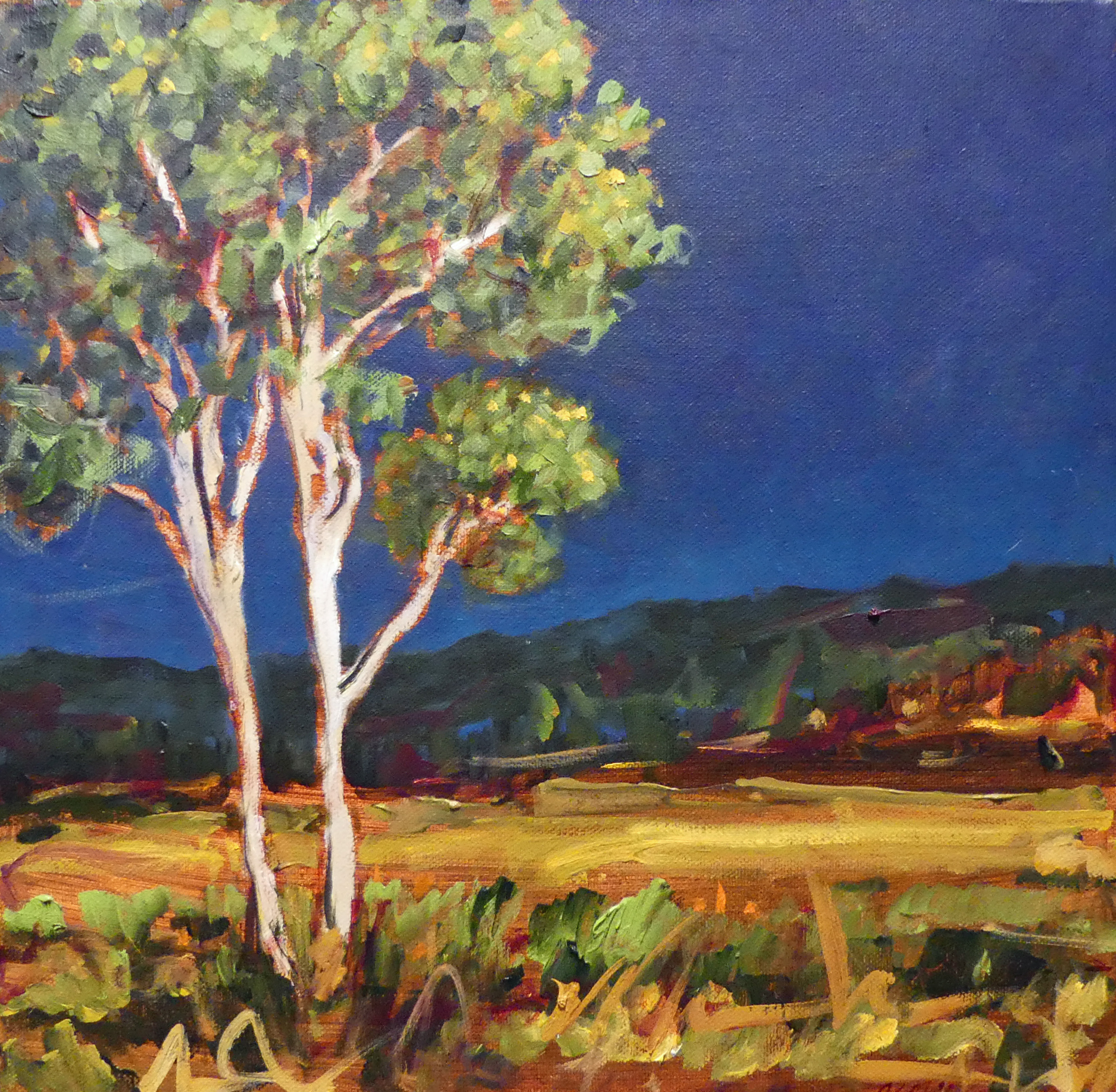 Mimi's Tree | Landscape Painting | Kim Pollard | Canadian Artist | British Columbia