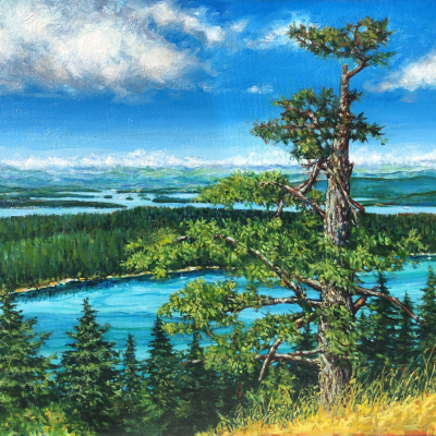 Mount Norman is a landscape painting of the view of Bedwell Harbour with an old growth Douglas fir standing tall at the precipice.  