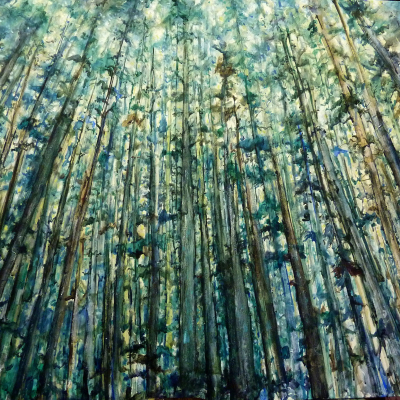 The Trees | Landscape Paintings | Kim Pollard | Canadian Artist | British Columbia | West Coast | Rainforest