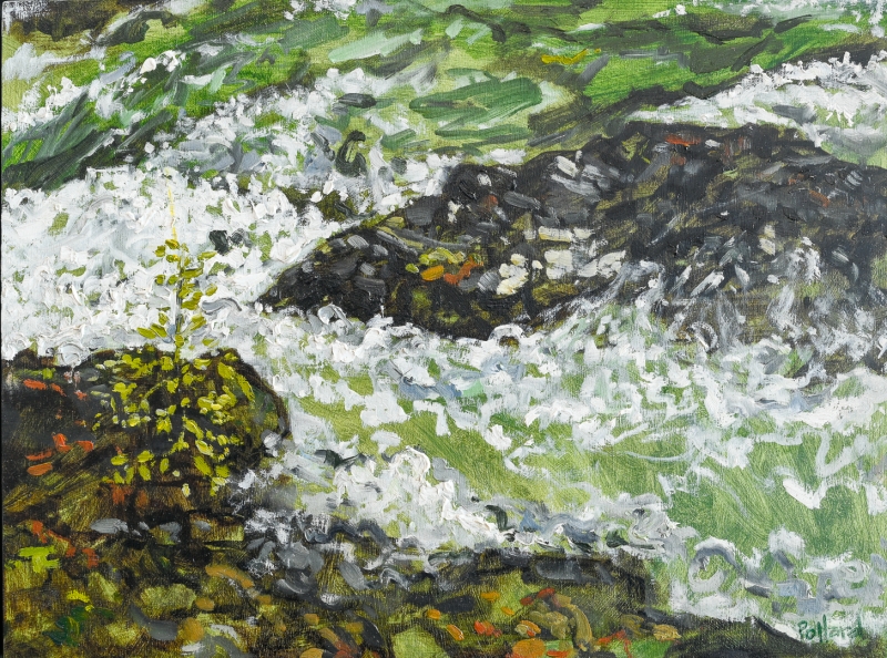 Kim Pollard | Little Qualicum River | Vancouver Island | Qualicum BC | West Coast Art | BC Artist | Canadian Contemporary Art 