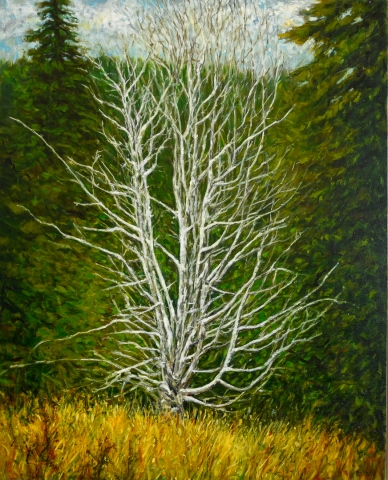 Kim Pollard | Pollard Fine Art | Canadian Artist | Canadian Art | Pender Island | Spirit Tree | Canadian Landscapes | BC Artist | Canadian Fine Art